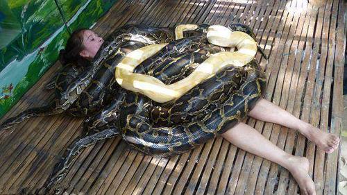 动物园推出蟒蛇特殊体验项目,看到这样的一幕,人们都吓得冒冷汗