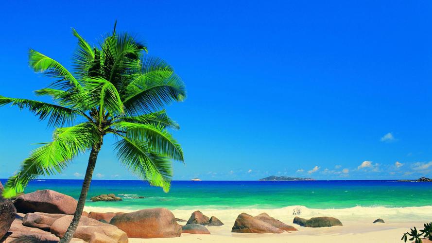 大海蓝天沙滩椰子树摄影壁纸_风景壁纸_壁纸下载_美桌网