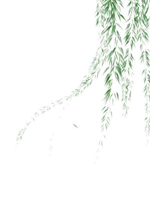 绿色手绘古风中国风水墨风柳叶柳树元素png素材