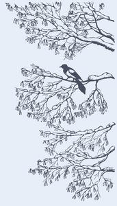 喜鹊矢量喜鹊灰树的树枝上.矢量速写照片