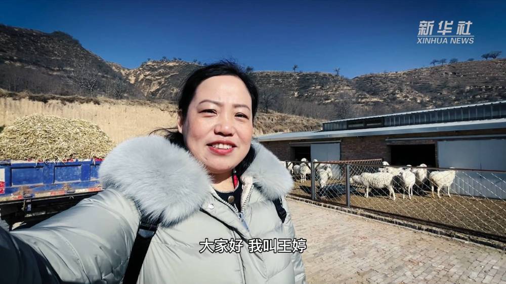 为了推动东西部扶贫协作,49岁的王婷从天津市河东区来到甘肃省挂职