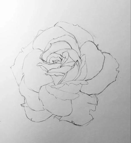 铅笔素描教程一支笔画一朵花
