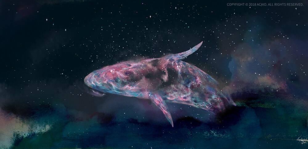 鲸与星空 插画师:acaio