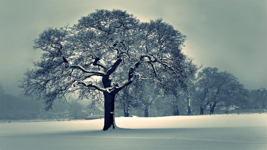 唯美冬日雪景高清风景桌面壁纸