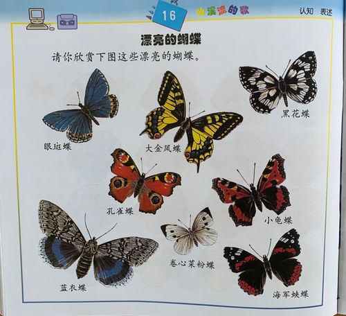 请小朋友们看图说一说蝴蝶的生长过程.