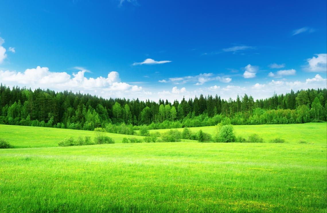 蓝天白云草地绿色自然风景高清图片