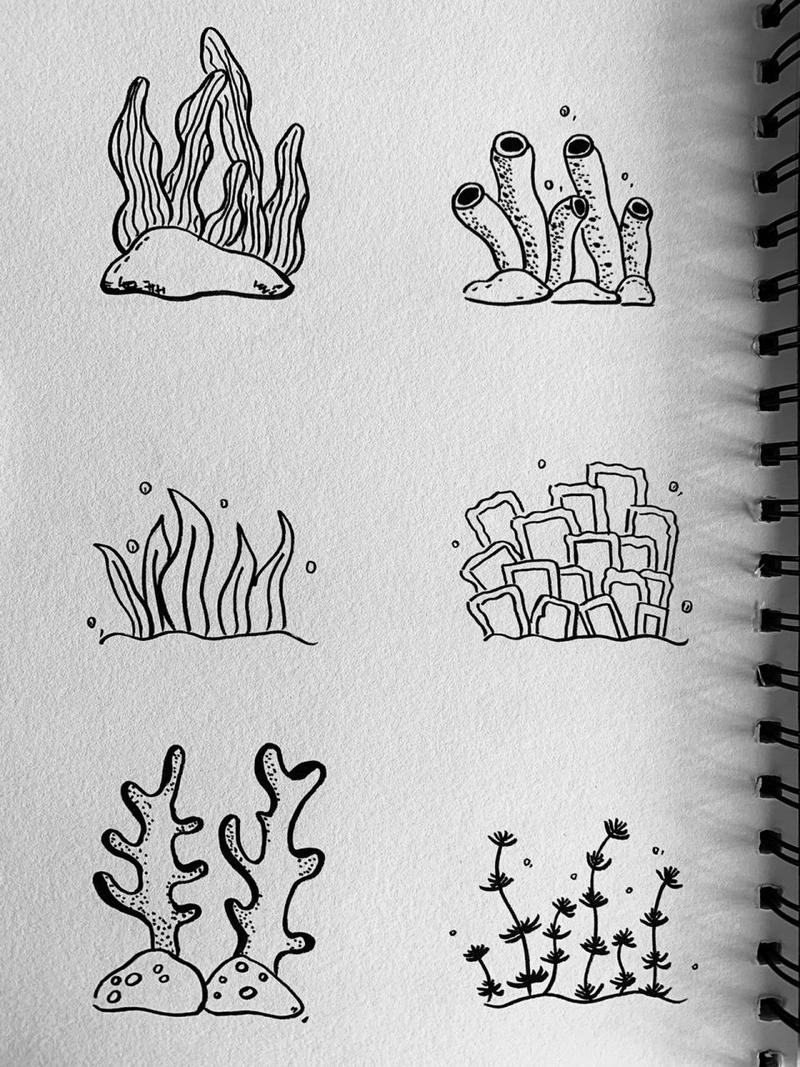 简笔画——海底植物篇
