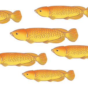 手绘卡通游动的金龙鱼装饰图案