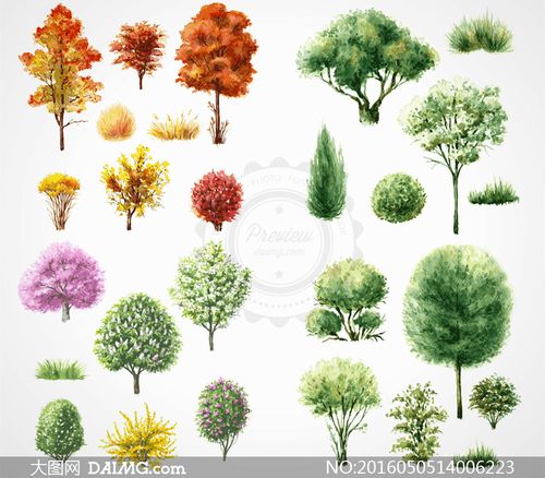春夏秋季的水彩树木与树丛矢量素材