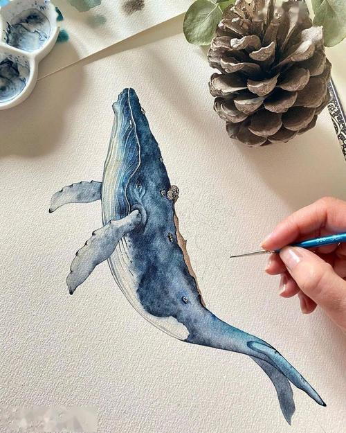 唯美的鲸鱼水彩插画