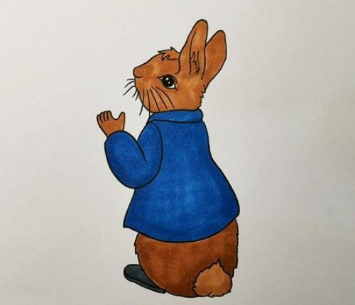卡通彩色彼得兔简笔画教学图解彩色彼得兔简笔画怎么画