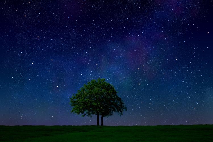 繁星灿烂的夜空1920x1280分辨率下载,草场上繁星灿烂的夜空,图片,壁纸
