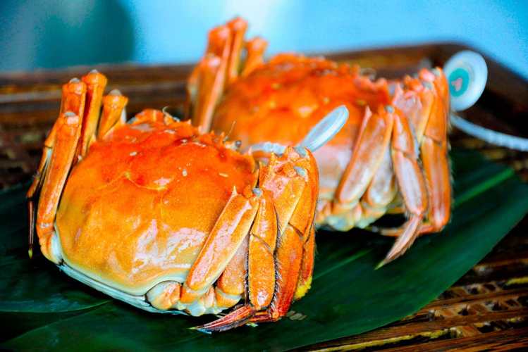 十大最好吃的螃蟹排名图片(十大螃蟹排名榜)-七大地