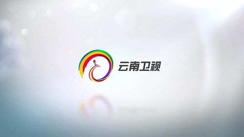 当代东方3.2亿获云南卫视广告代理权
