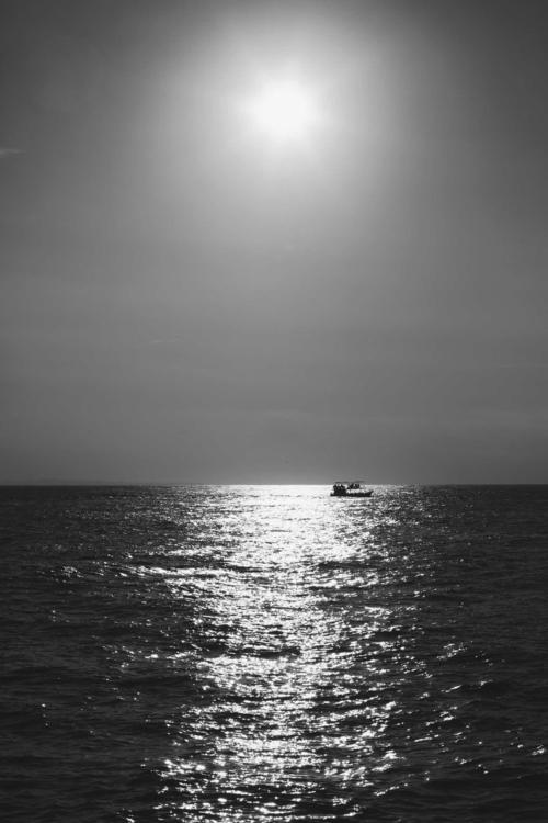 在米瑞莎观鲸时,阳光铺洒在海面上,呈现出一只小船孤独的