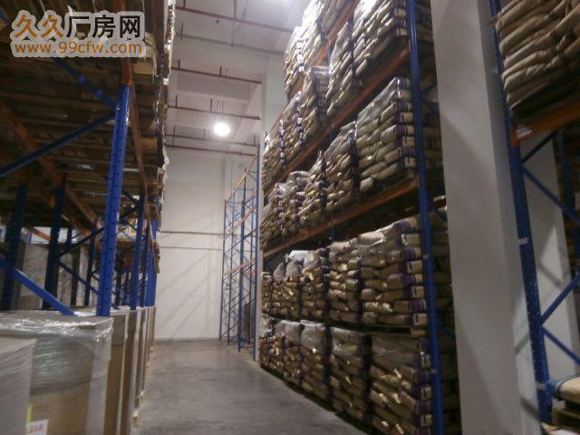 广州开发东区大型进口预包装食品仓库出租
