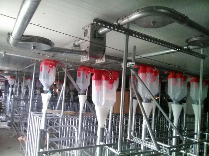养猪场专用养猪设备自动化喂料系统料线