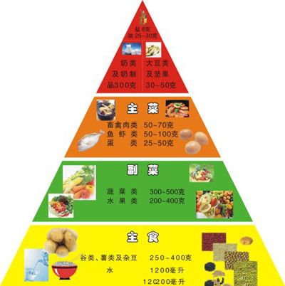 平衡膳食金字塔