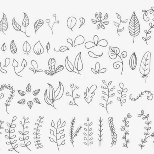insarcherandolive春暖花开|20多款简笔画简单好看各种植物叶子简笔