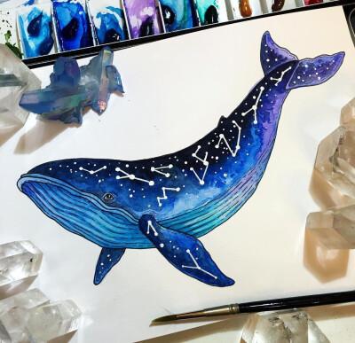 发布到  彩铅 图片评论 0条  收集   点赞  评论  水彩 动物绘画 鲸鱼