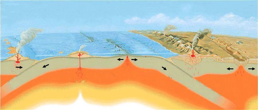 大洋板块与大陆板块有什么不同?