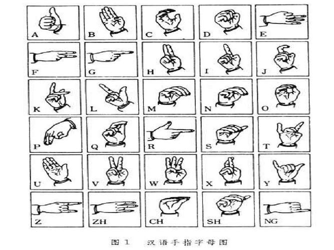 手语课 课件 中国日常手语ppt