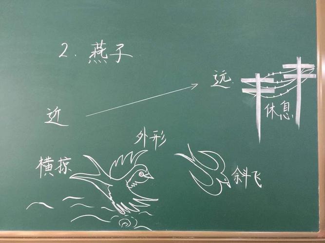 孙辉老师的"精读引领课"以简笔画的形式将整篇课文板书在黑板上,图文