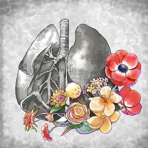 肺与花朵创意水彩插画
