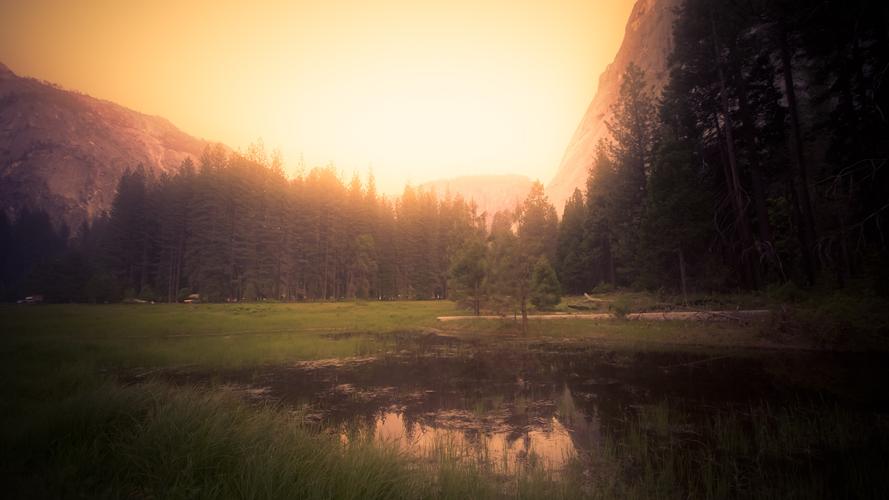 壁纸 优胜美地,美国加利福尼亚州,树木,雾,早晨,日出