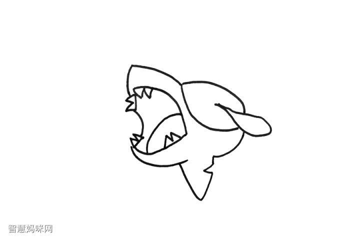 凶狠的巨齿鲨怎么画-图2