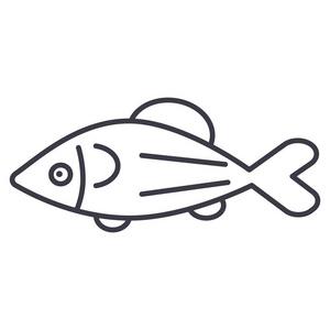 鱼三文鱼矢量线图标 标志 插图背景,可编辑笔触照片