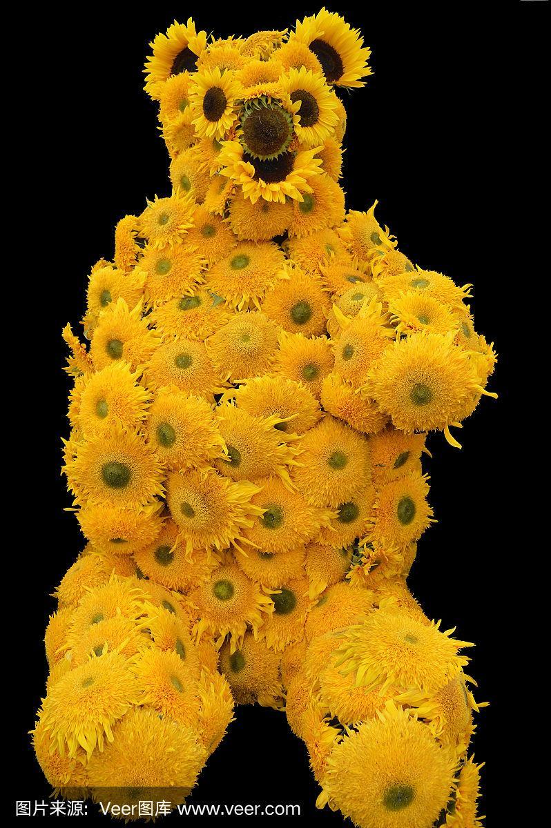 向日葵(helianthus annuus)泰迪熊