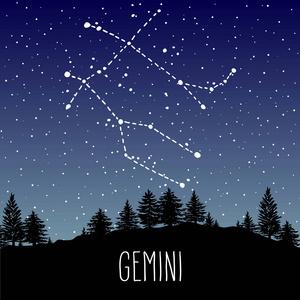 双子座的手在针叶林的夜空中绘制星座星座.矢量图形占星术插图.