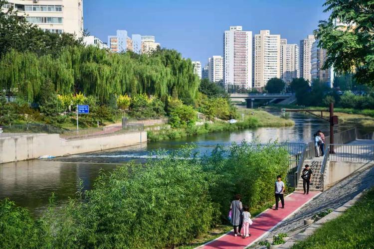 提升生态景观,展现生态之美,凉水河里有文章_北京日报app新闻