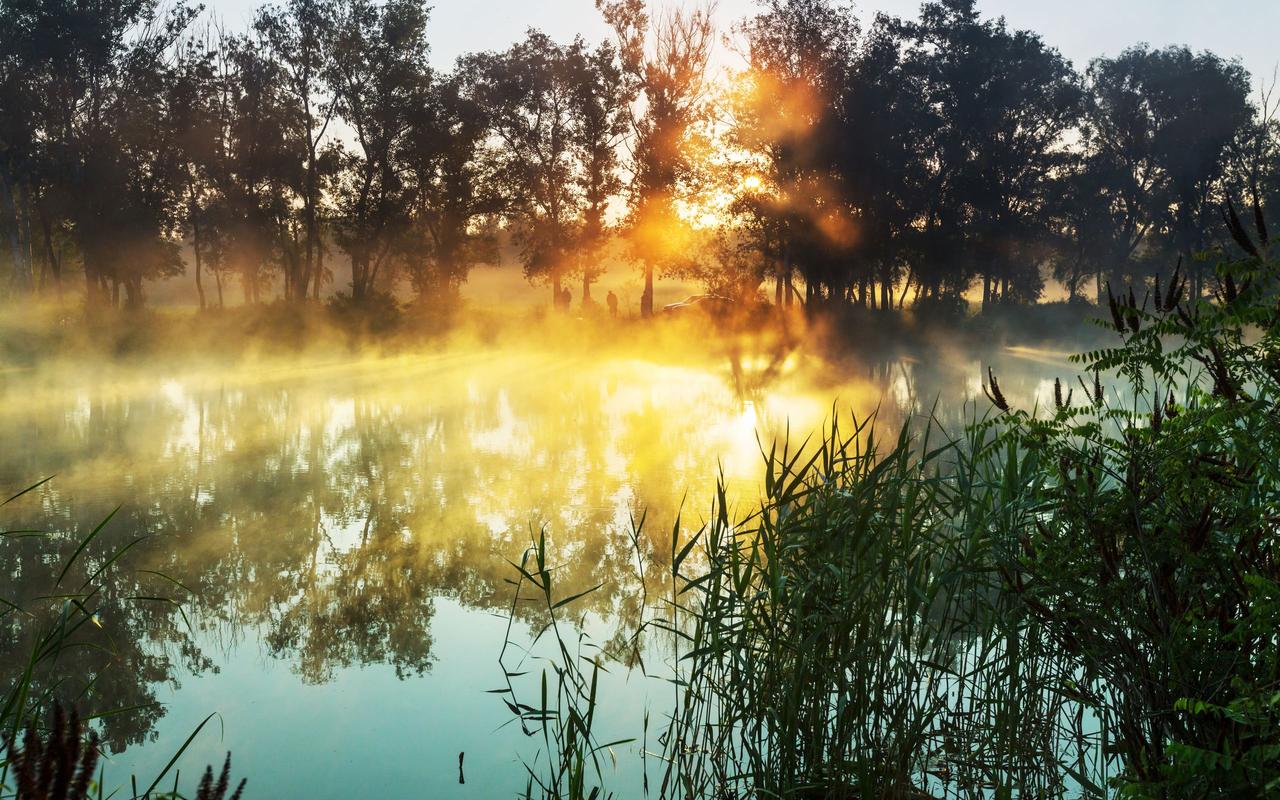 清晨湖面上的日出唯美摄影高清壁纸高清大图预览2560x1600_风景壁纸下