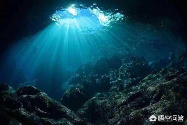 海底一万米有多恐怖能吓死人的深海恐惧图