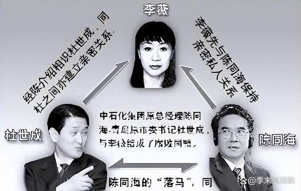 2006年越南女孩李薇被捕,她写的一本日记把中国多位高官拉下马