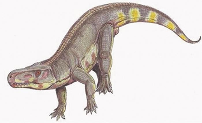 2.1亿年前让食草动物陷入恐慌的并非大型食肉恐龙 而是劳氏鳄?