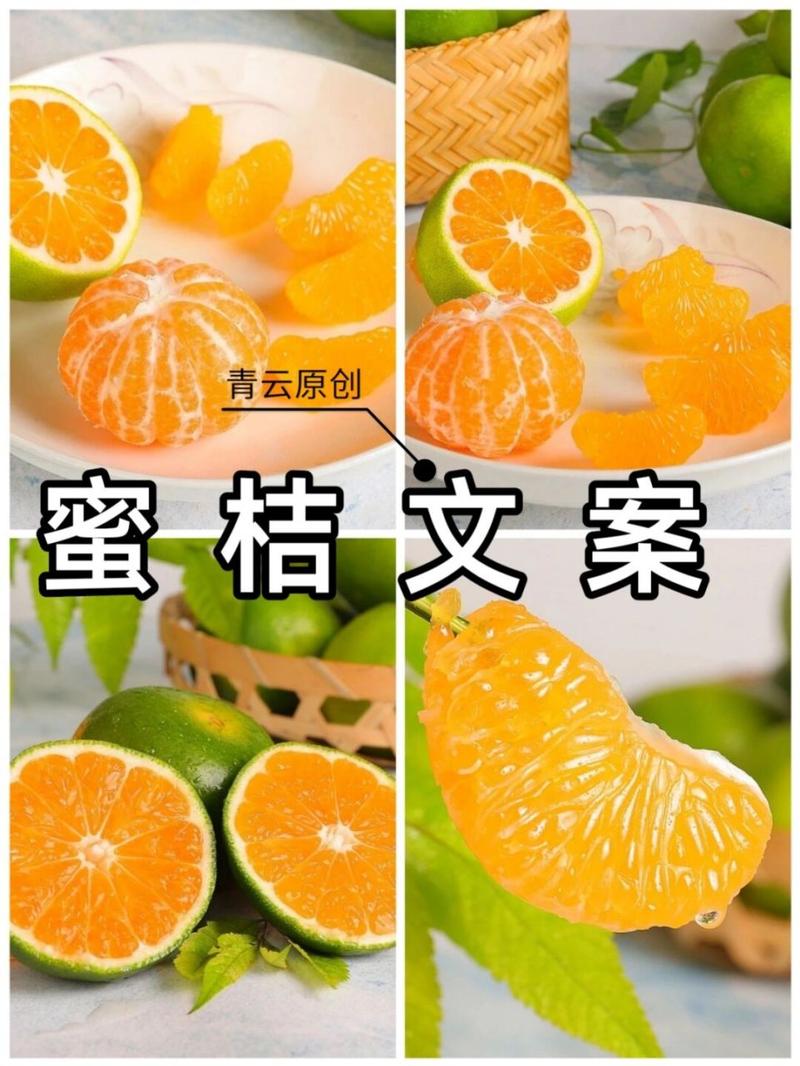 水果文案|又是橘子成熟时…… 又‮蜜是‬桔的季‮来节‬了 6