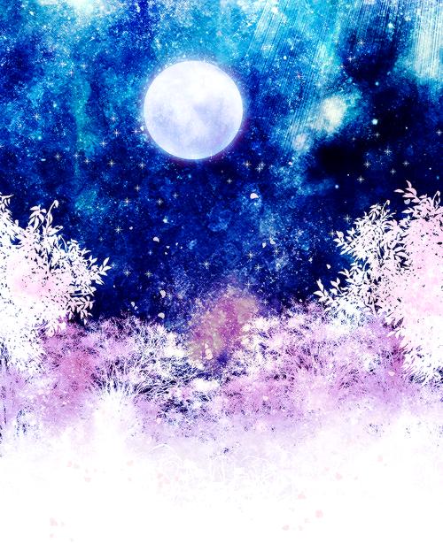 风景 p站 意境 美 蓝色系 冷色系 星空 璀璨 圆月 高清 樱花 花瓣