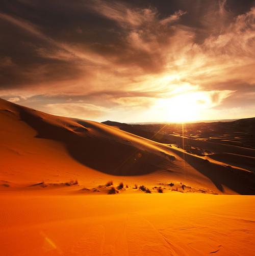 夕阳下的金色沙漠高清摄影图片