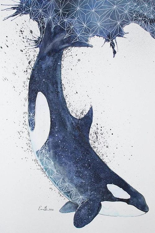 水彩蓝鲸
