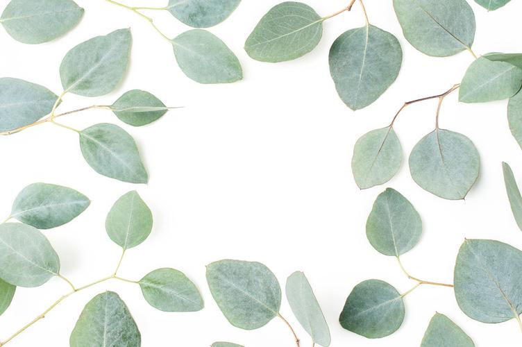 简约办公淡绿色桌面斯堪的纳维亚极简风格绿色树叶背景图片斯堪的