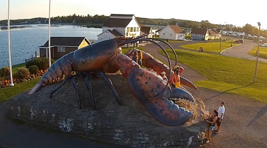 老外捕获世界最大龙虾?体长1米2体重40斤,处理方式却让人意外