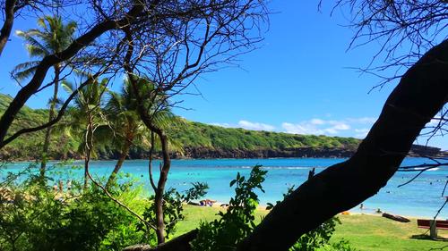 阳光明媚碧海蓝天夏威夷海滩休闲度假高清实拍