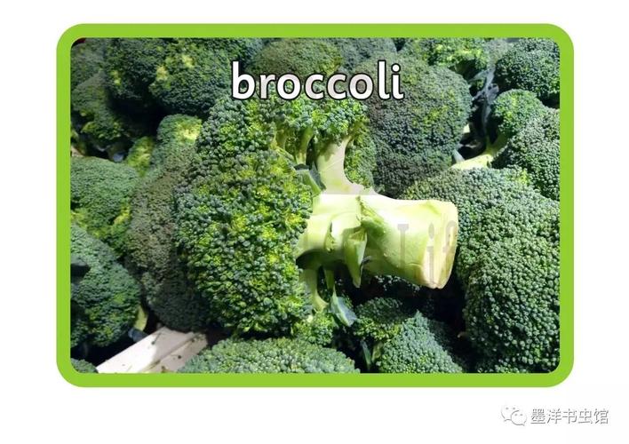 broccoli 花椰菜