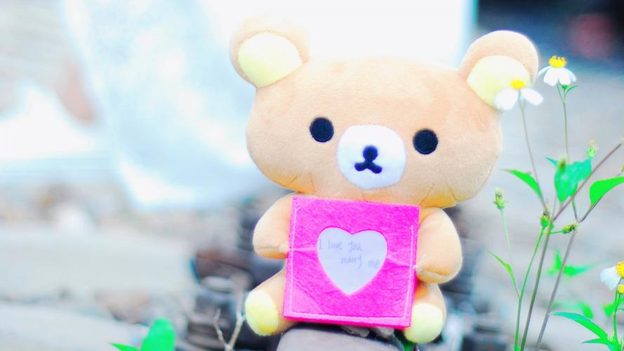 其它,小熊,爱心,爱情,小熊的告白壁纸