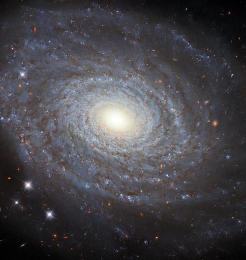 哈勃望远镜捕捉到ngc691同名螺旋星系的细节画面