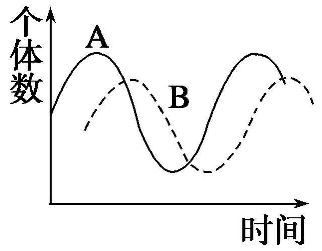 【提醒】种间关系曲线的辨别知识点3  种间关系(5)远离危险地带,不要