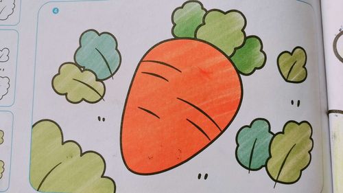 今天我们一起来画"有营养的萝卜"